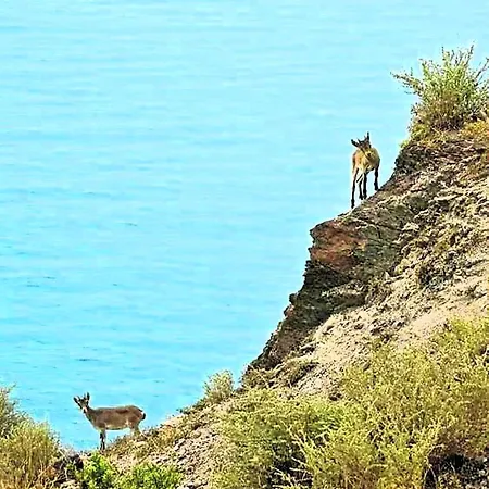 Διαμέρισμα Balcon Del Duende Seafront Paradise