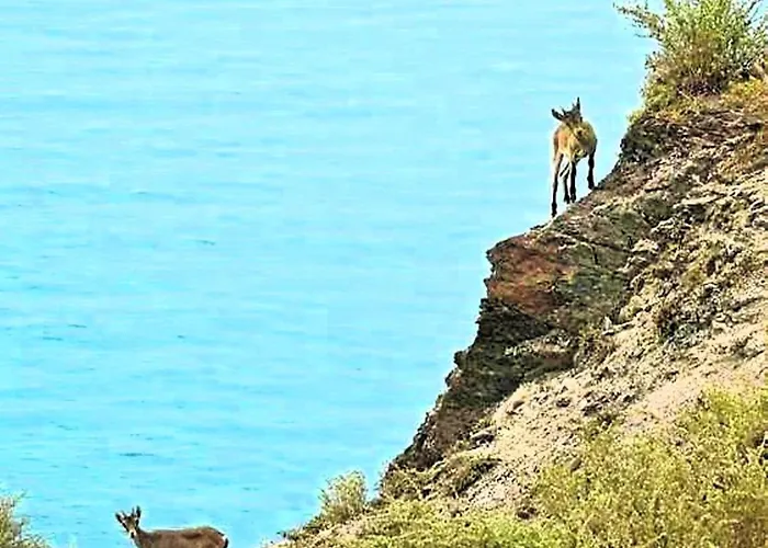 Apartment Balcon Del Duende Seafront Paradise